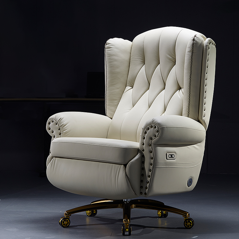 Finnley Leather Executive Electric Massage Chair