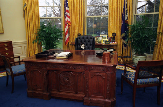 One Leather Chair, A Lifetime of Politics: The Silent Power Play of Office Spaces
