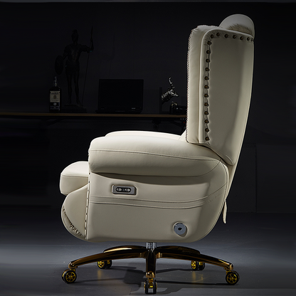 Finnley Leather Executive Electric Massage Chair